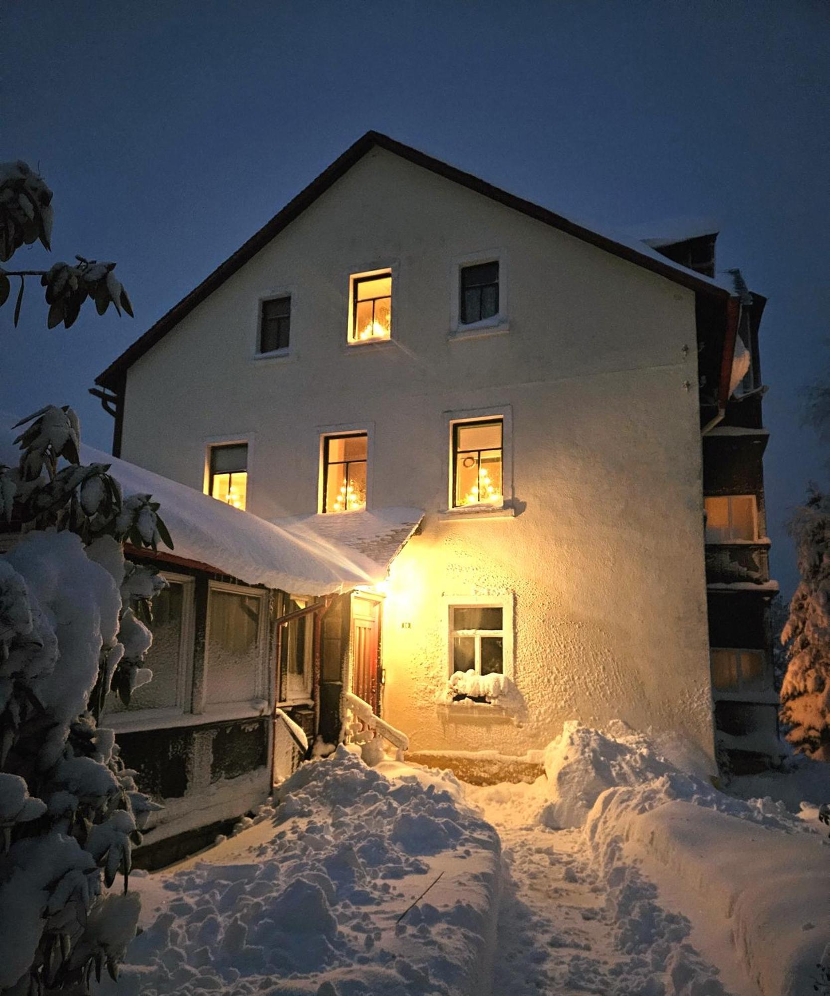 Villa Lydia Altenberg Exterior photo